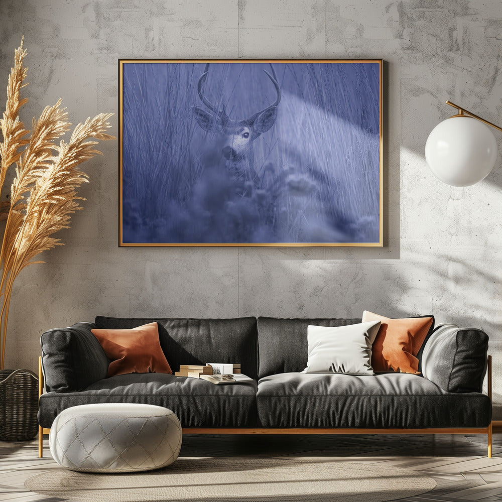 Art Prints of winter night