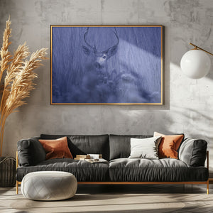 Art Prints of winter night