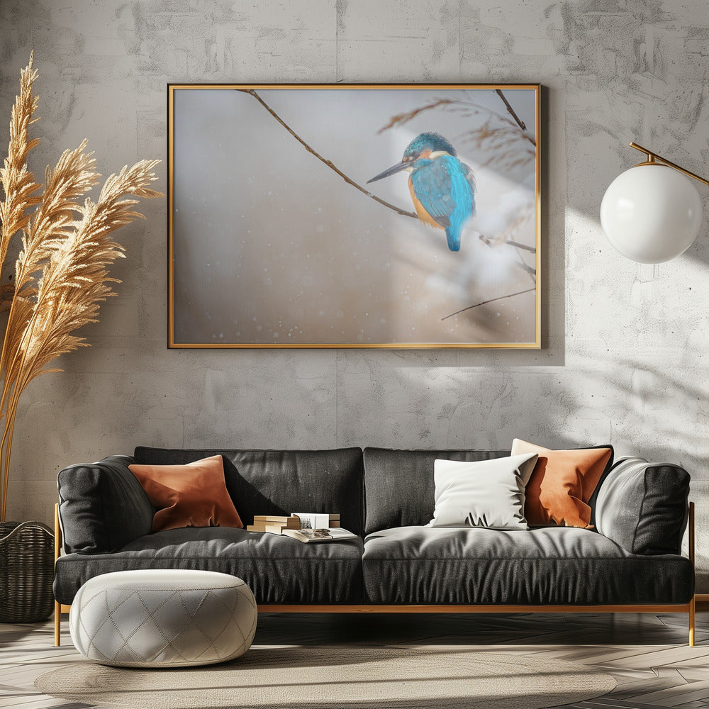 Art Prints of Common kingfisher