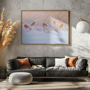 Art Prints of Snowy Morning  Party