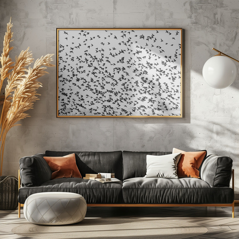 Art Prints of stars