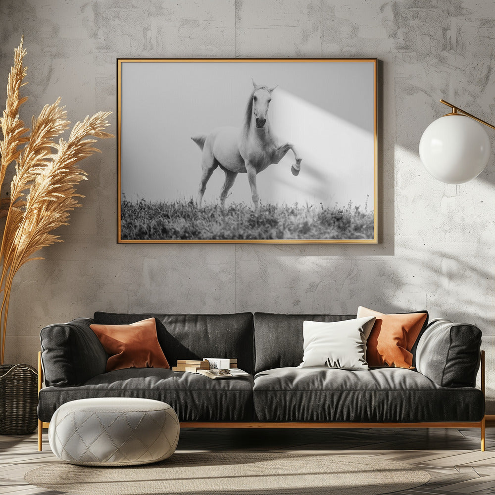Art Prints of a short story about white beauty