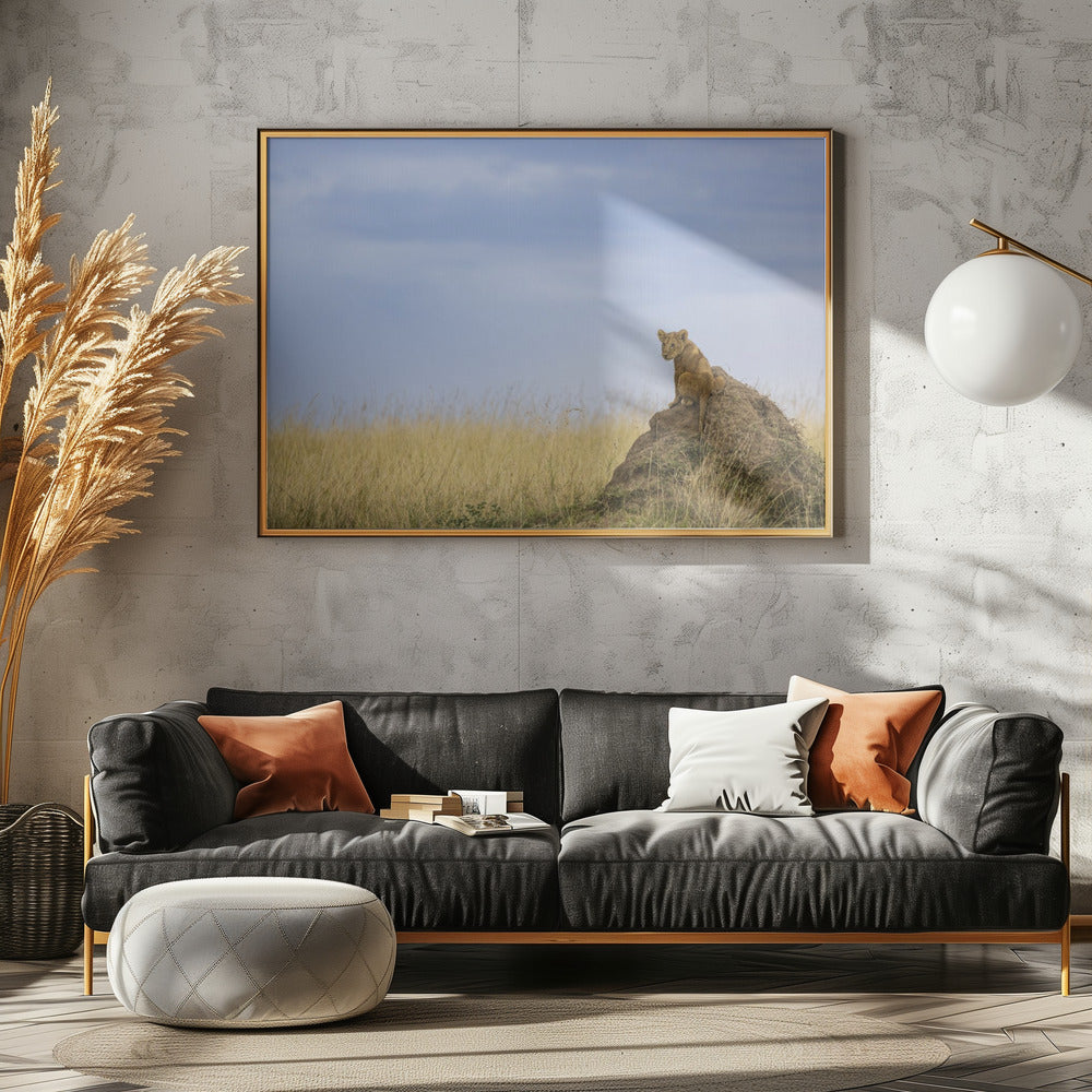 Art Prints of The Prince