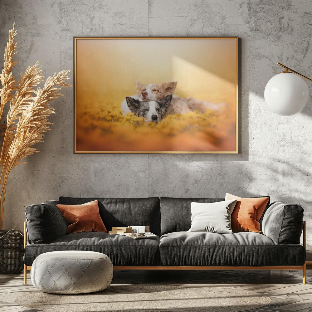 Canvas Art Print Dandelion dream