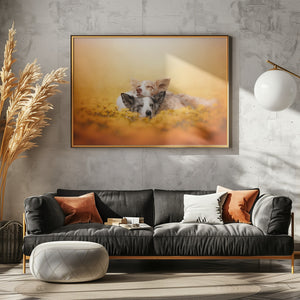 Canvas Art Print Dandelion dream