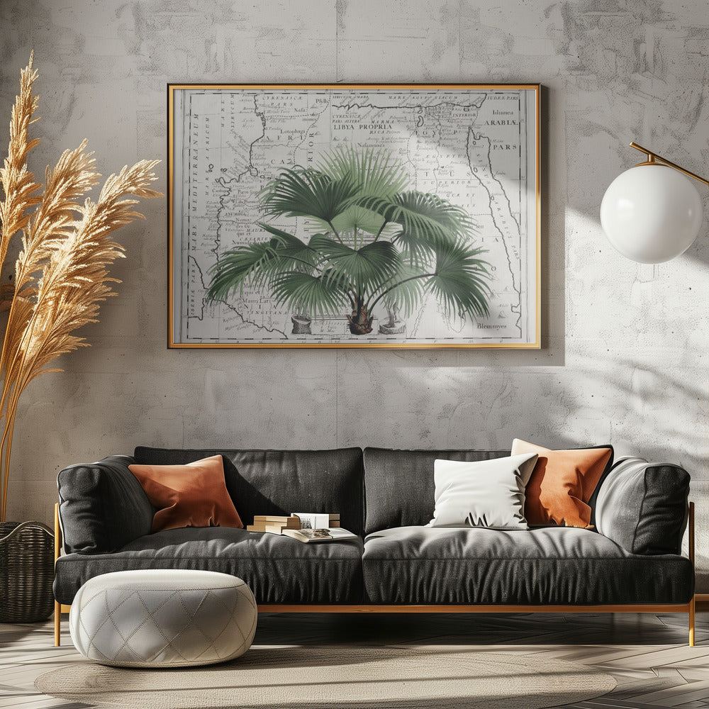Tropical Empire No3