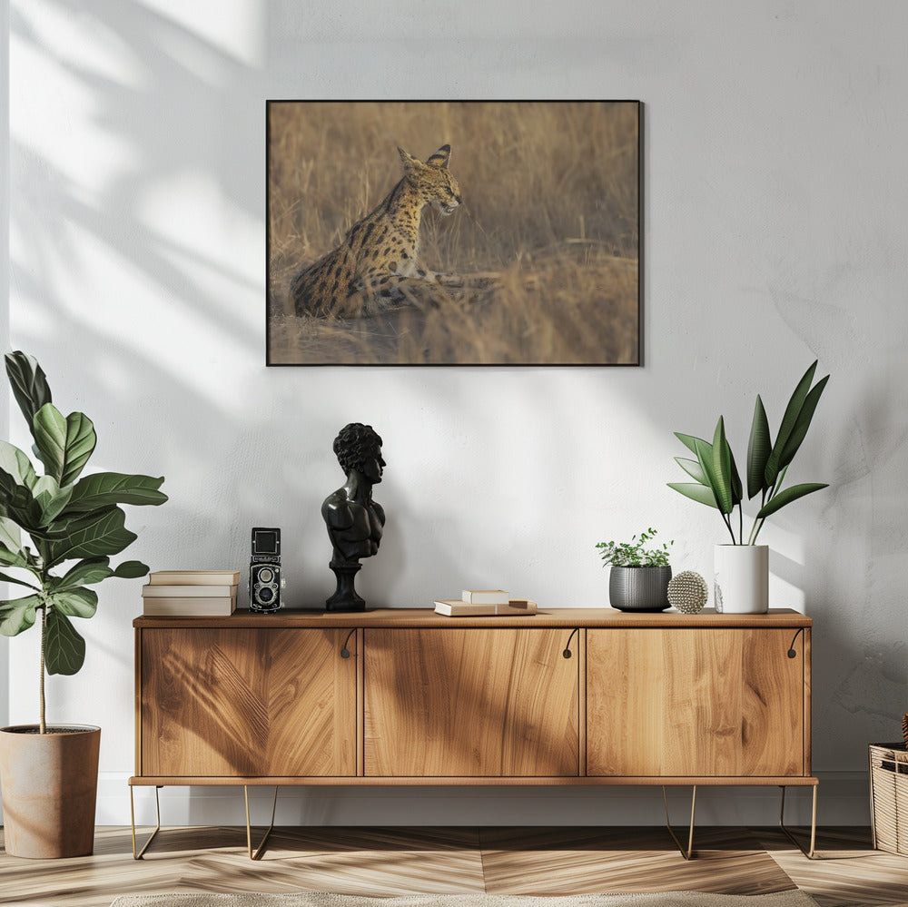 Art Prints of Serval