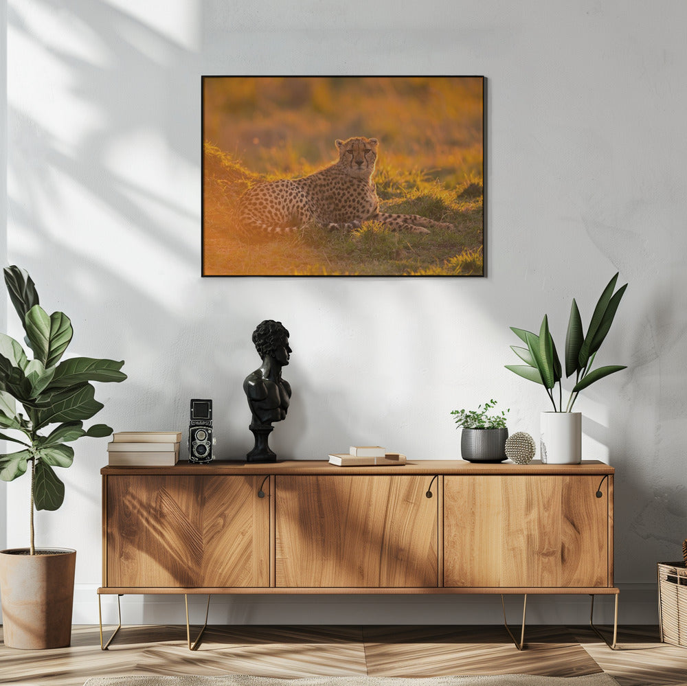 Art Prints of Into the golden light