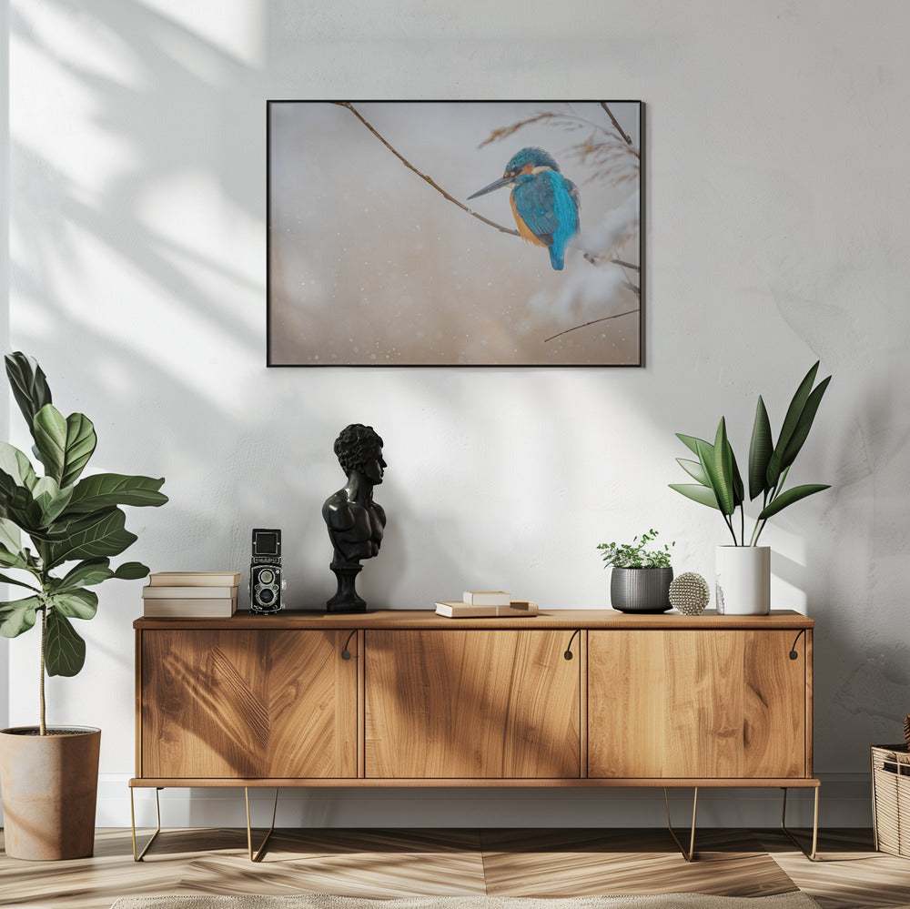 Art Prints of Common kingfisher