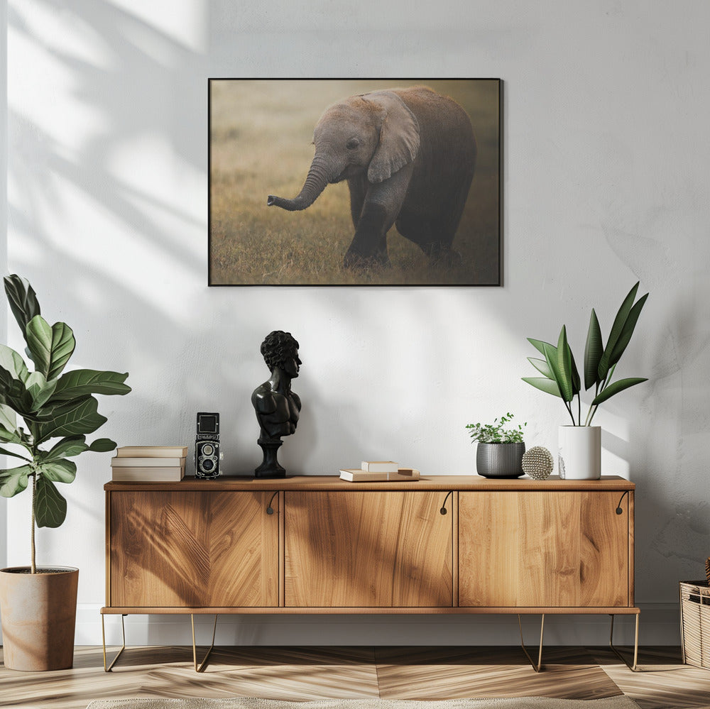 Art Prints of Falafelo
