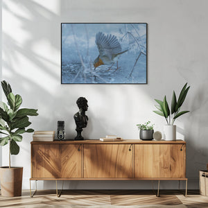 Art Prints of European robin (Erithacus rubecula).