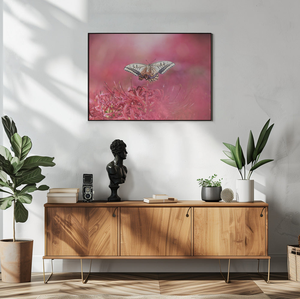 Art Prints of Fly gracefully