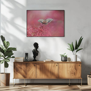 Art Prints of Fly gracefully