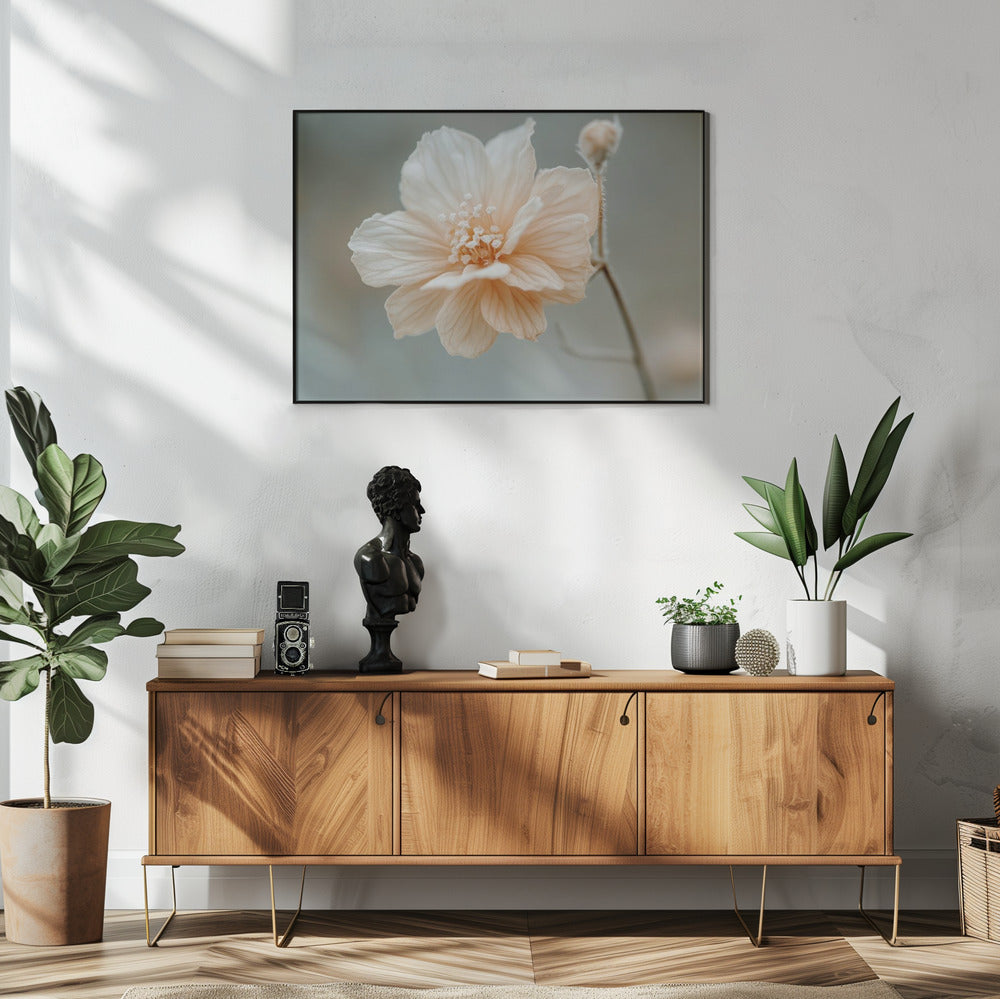 Petal Serenity