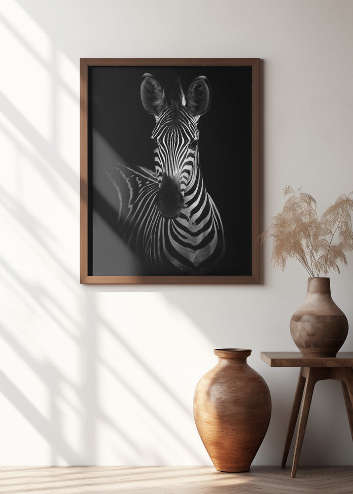 The Zebra