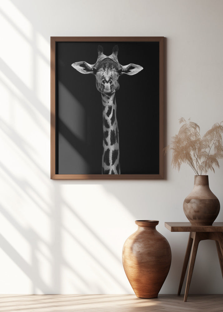 Giraffe Portrait