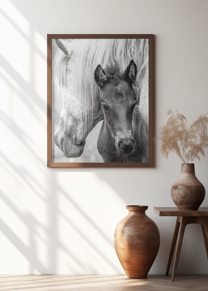 The Foal