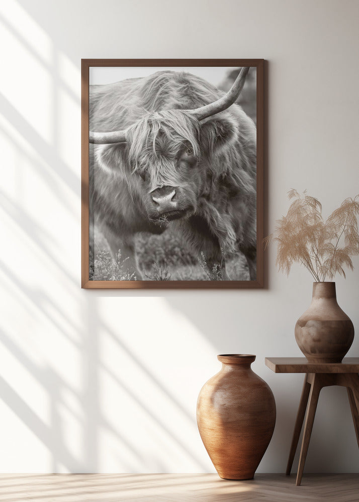 The Bull