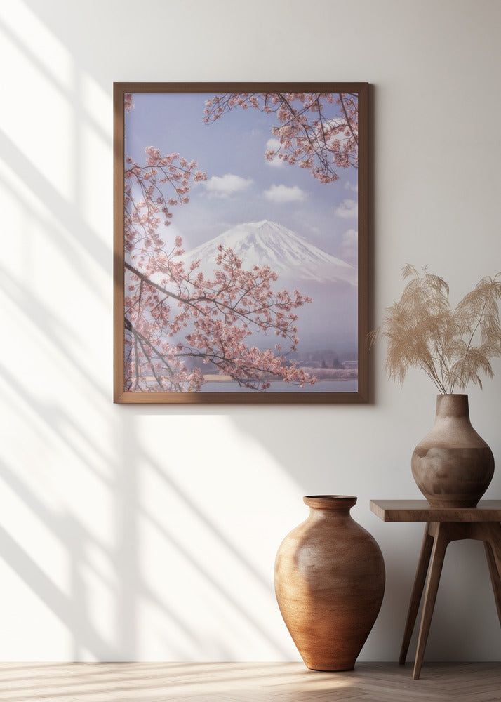 Mt.Fuji in the cherry blossoms
