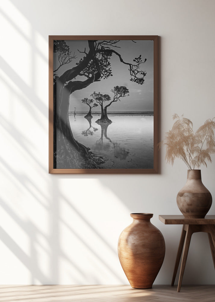 Framing