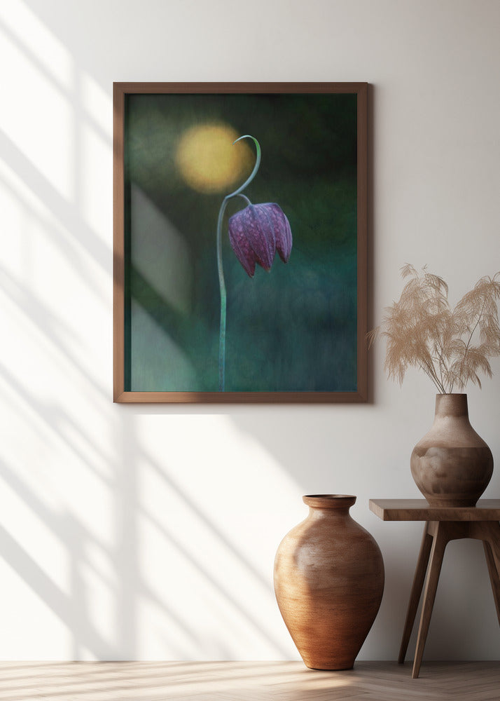 Reaching the Light