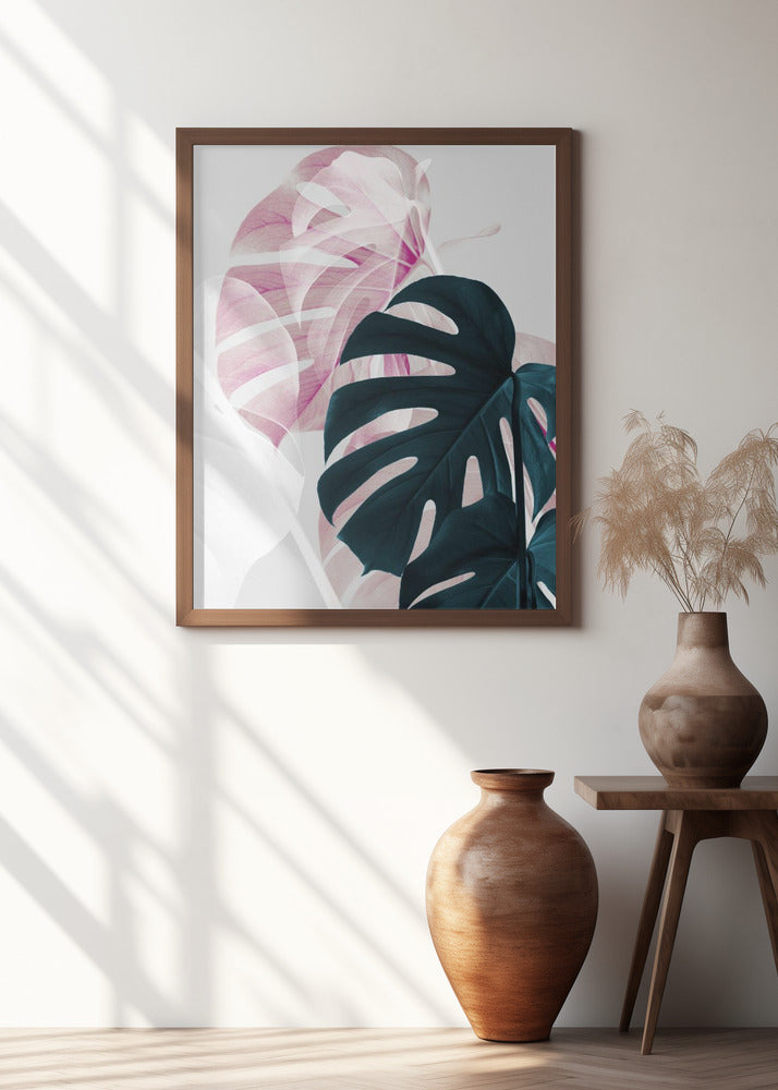 Monstera Creative 08