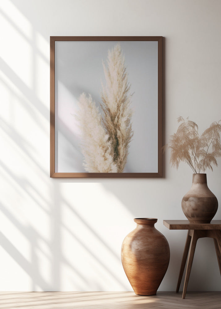 Pampas Grass Grey