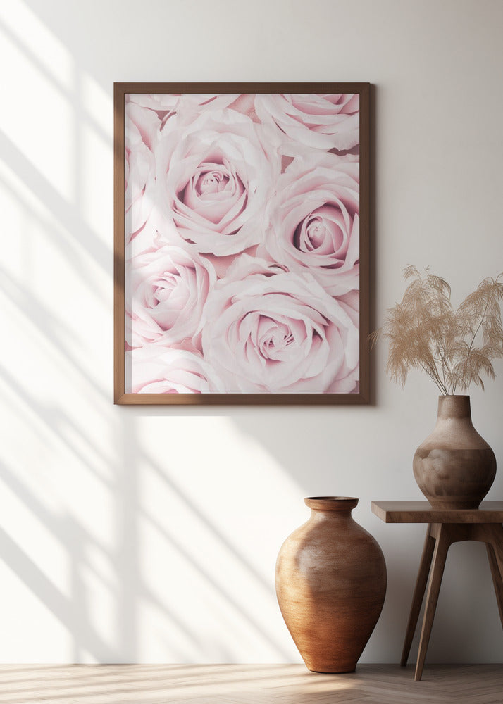 Pink Roses No 02