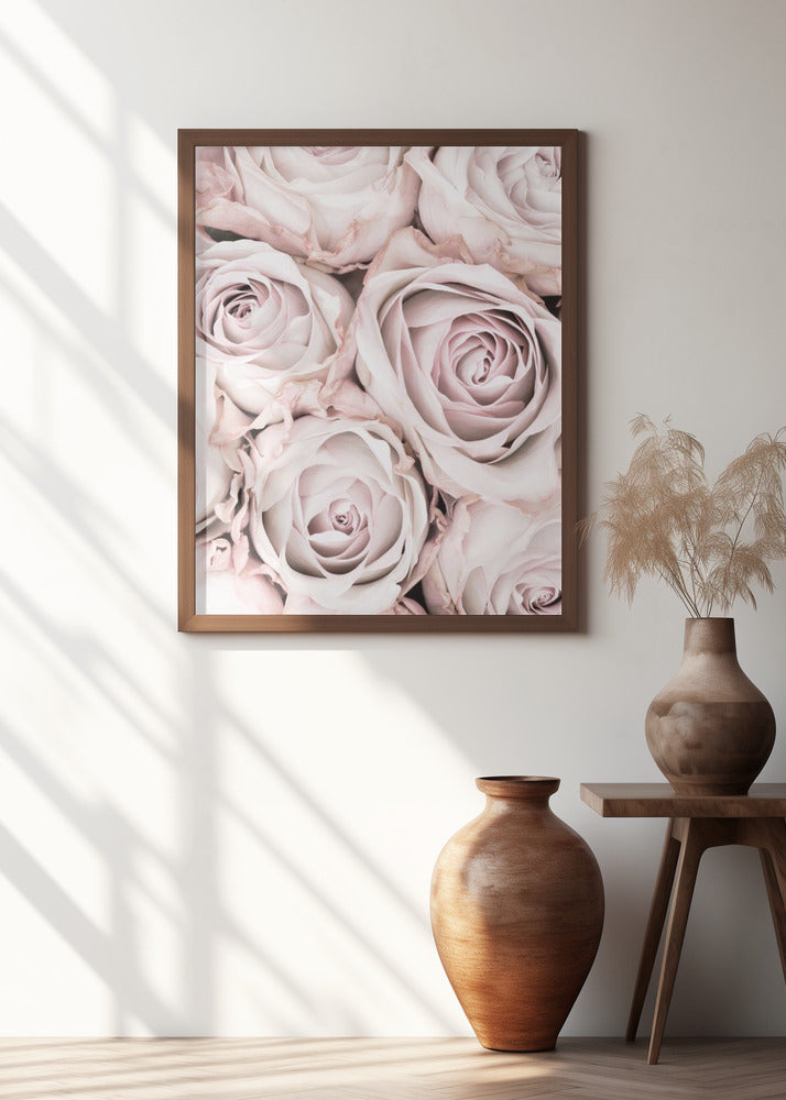 Pink Roses No 01