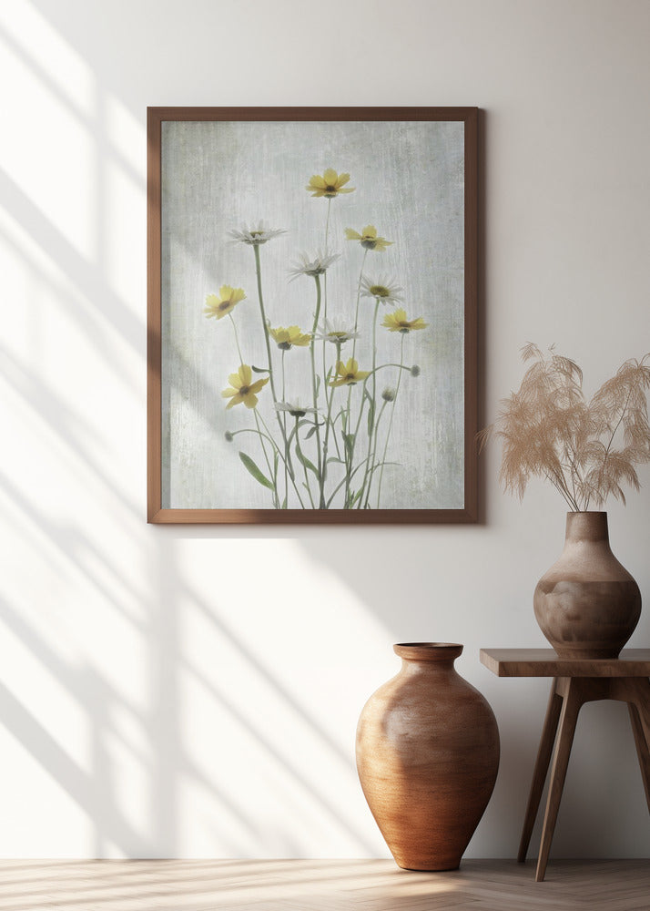 Summer Flowers