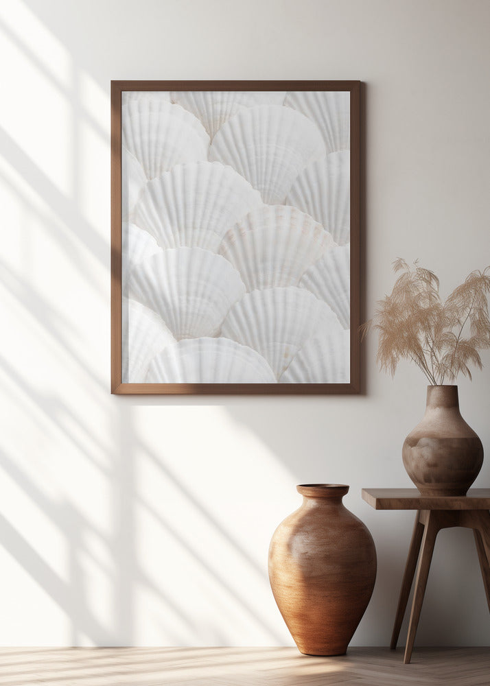Shells_3