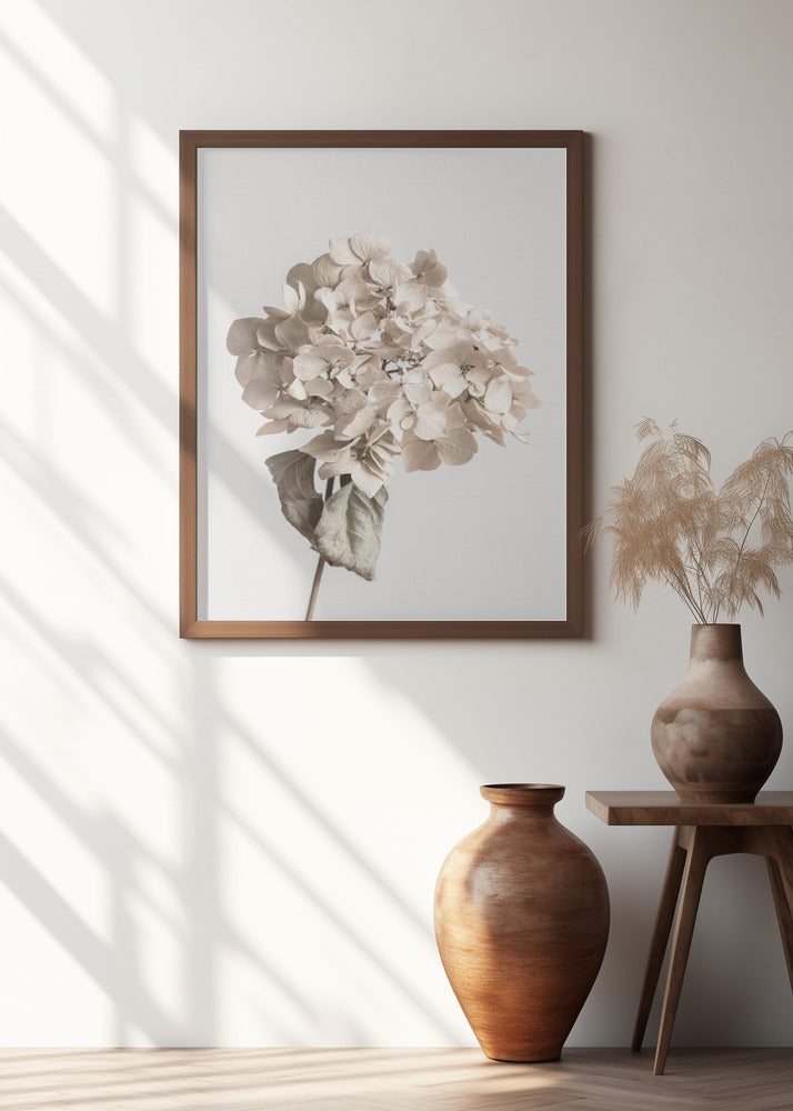 Beige dried flower