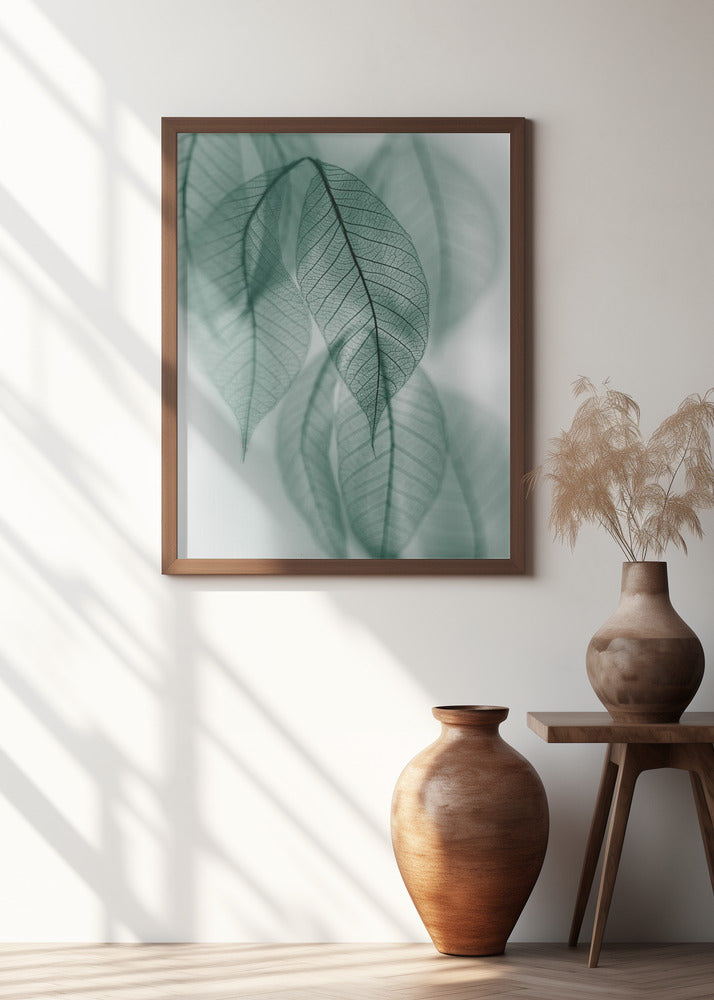 Leaf