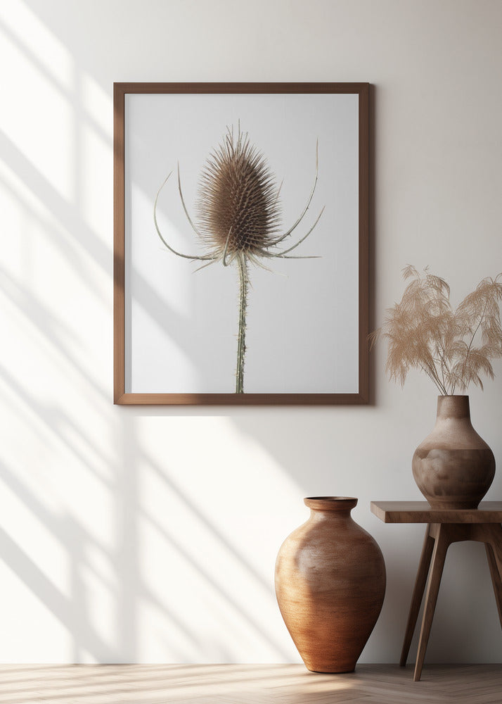 Dried_004