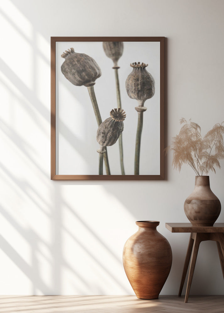 Dried_006