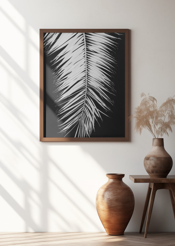 Palmblad_004