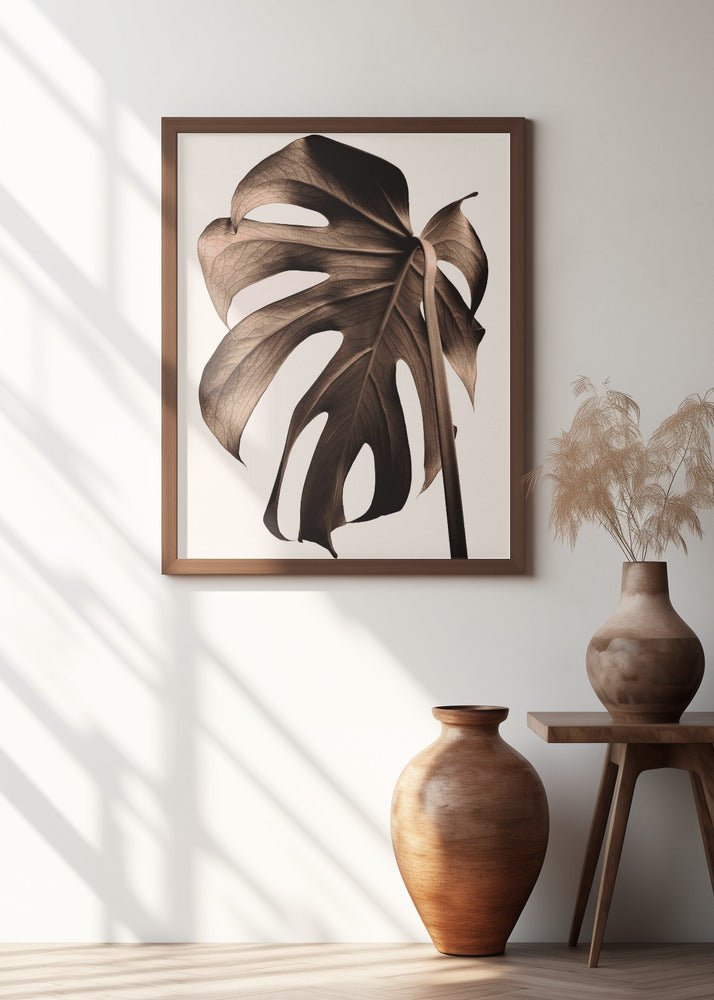 Monstera Gold