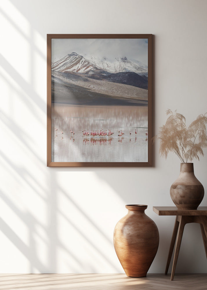 mountain view (Bolivia)