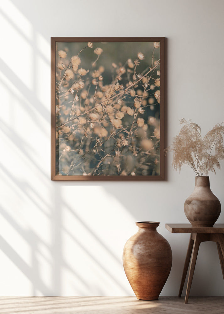 Beach flowers_003