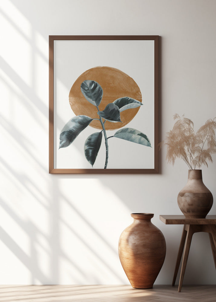 Sun and Ficus
