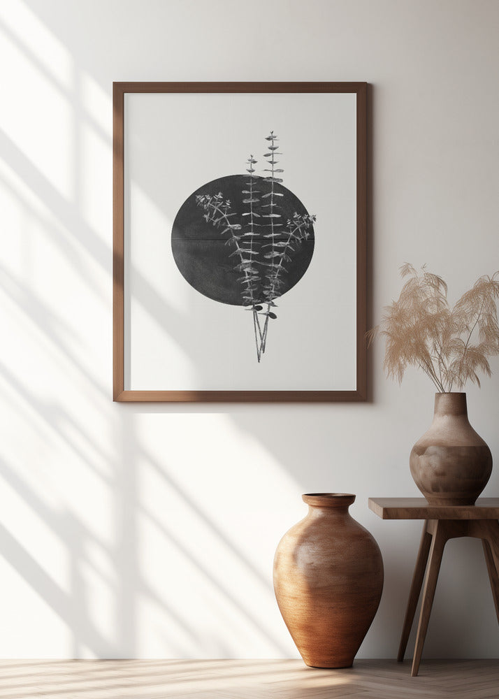 Plant and Black Sun