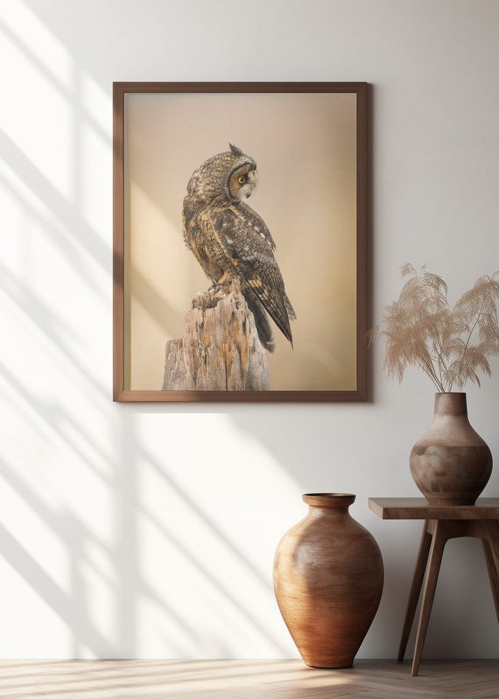 Art Prints of Sunrise