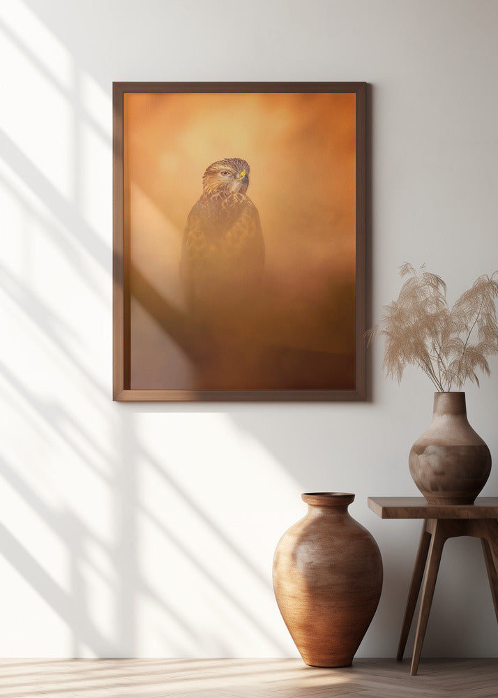 Art Prints of Long-legged Buzzard
