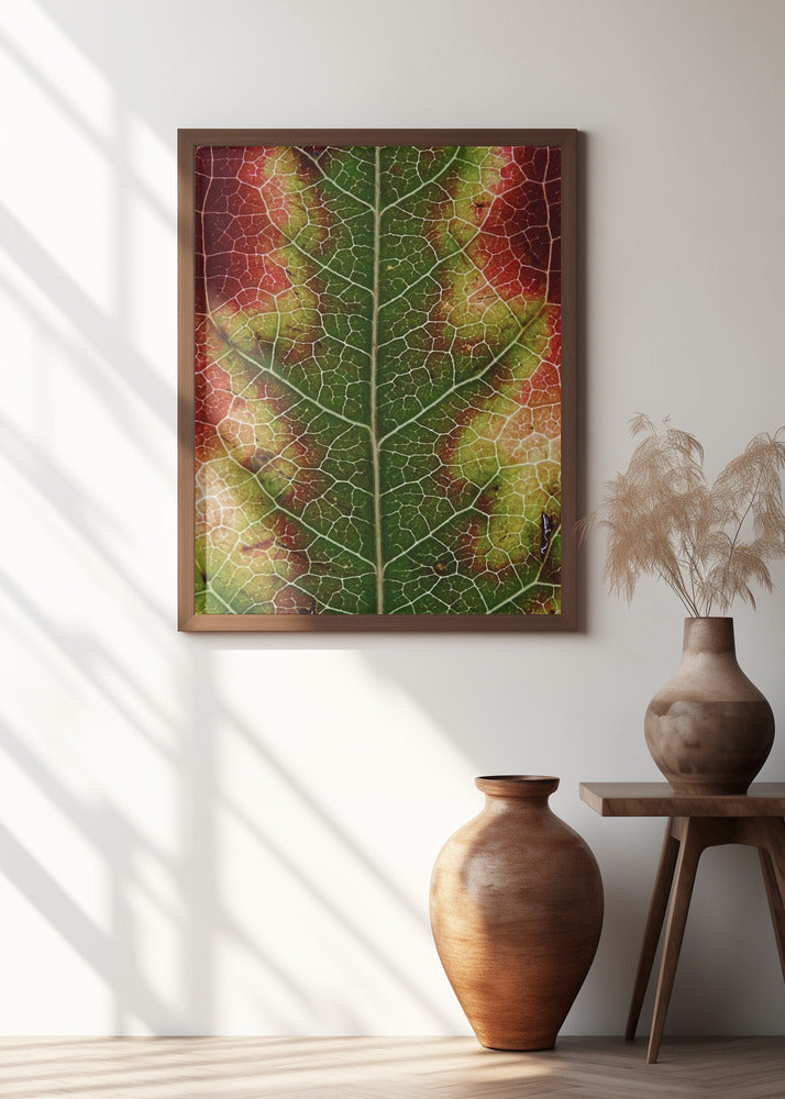 Autumn Leaf