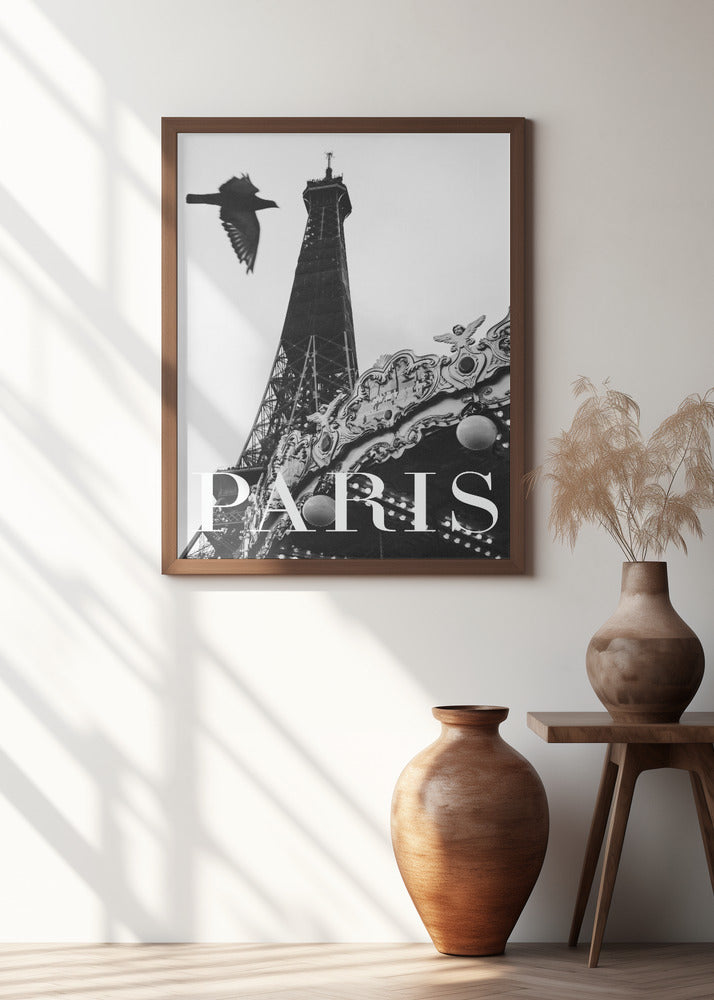 Paris Dove
