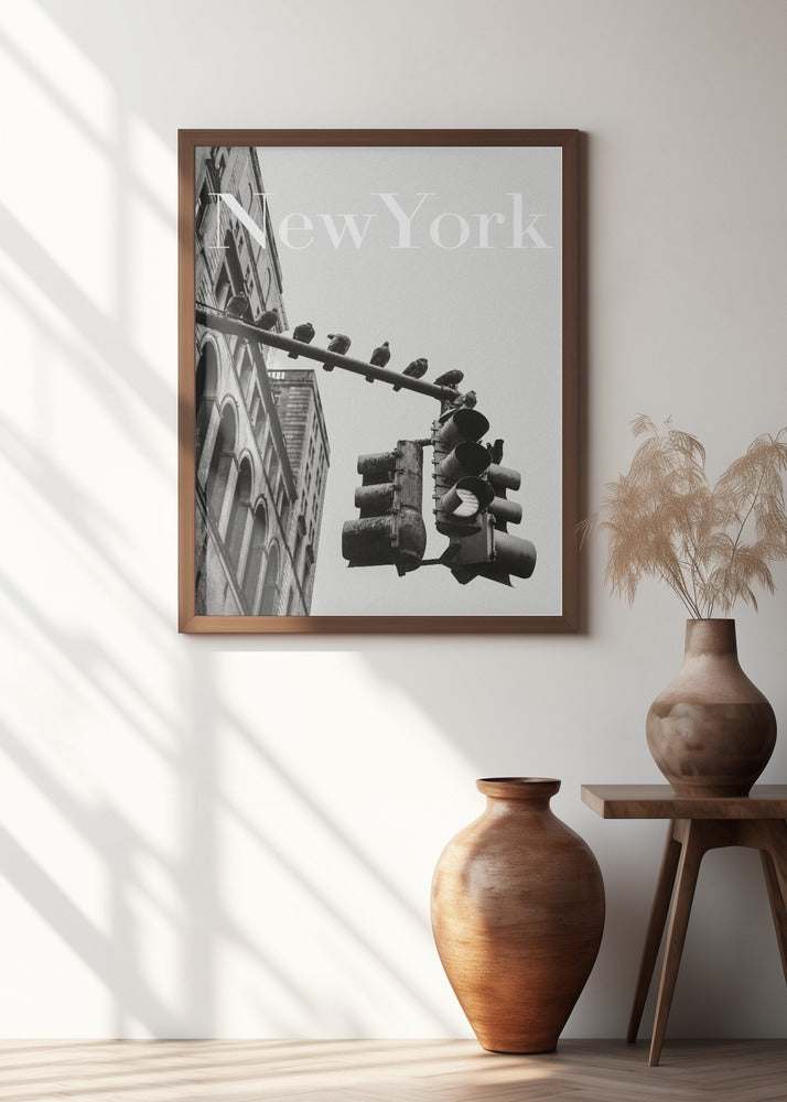 NYC Doves