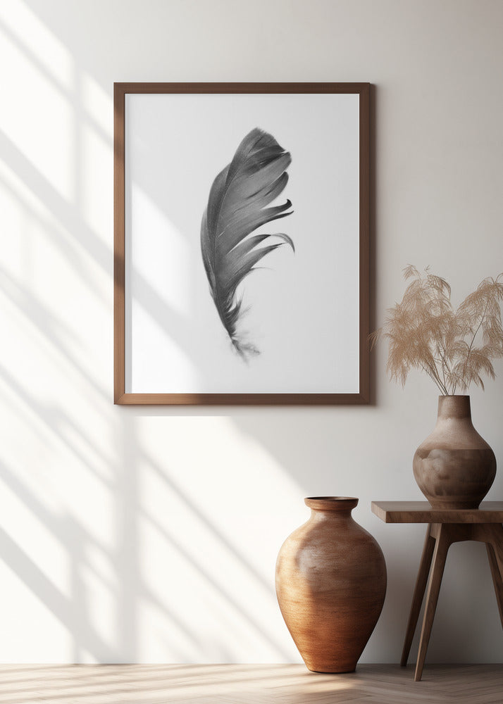 Feather