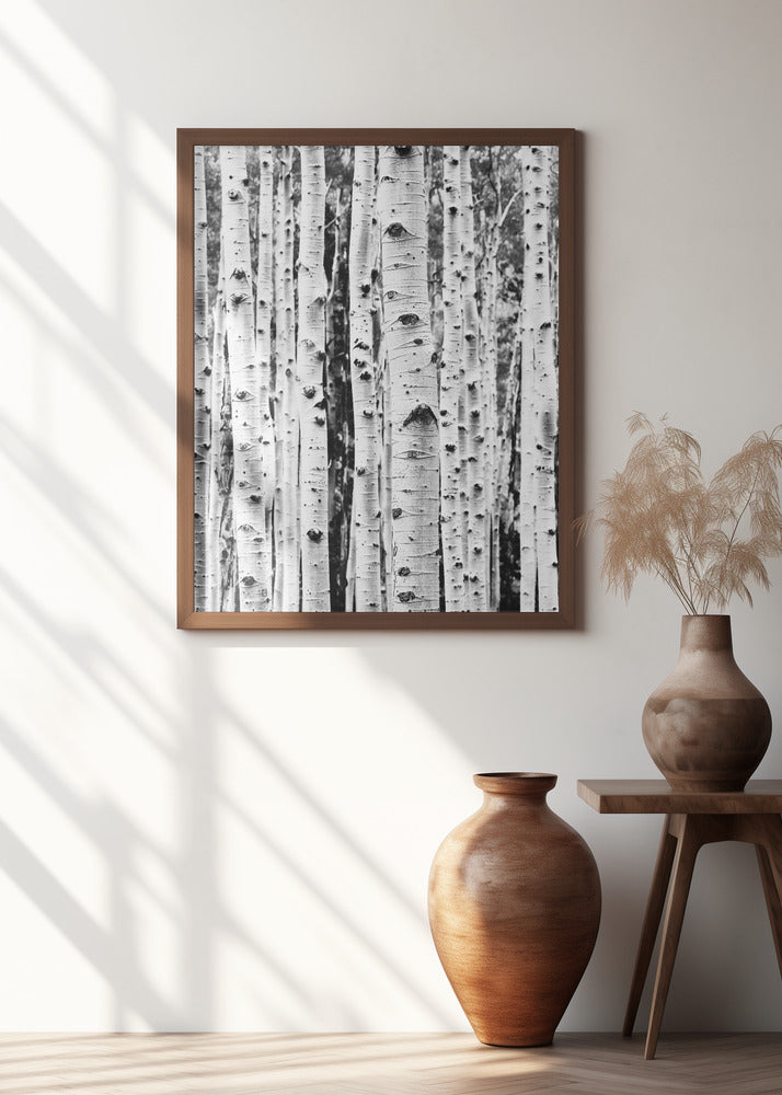 Birches