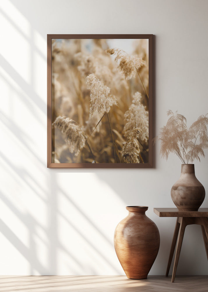 reed flower