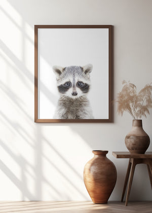 Canvas Art Print Baby Racoon